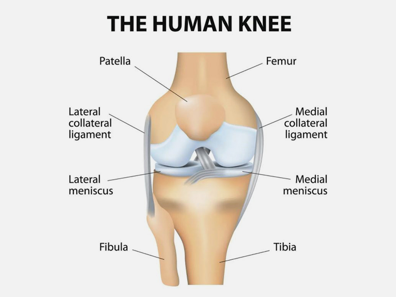 무릎 인대 손상01